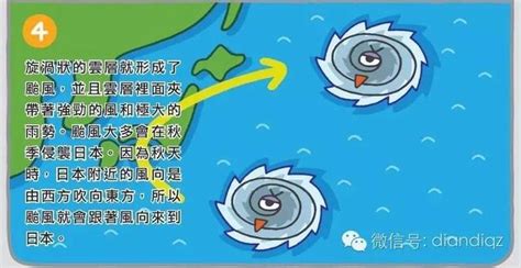 南北半球颱風轉向|你知道颱風怎麼形成的嗎！？